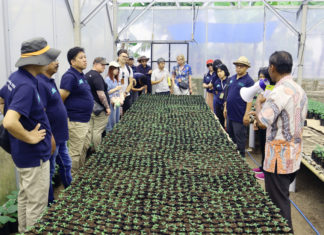 Pembibitan Berbasis Teknologi EM di Tunas Inti Agri Makmur Tuai Perhatian Delegasi APNAN