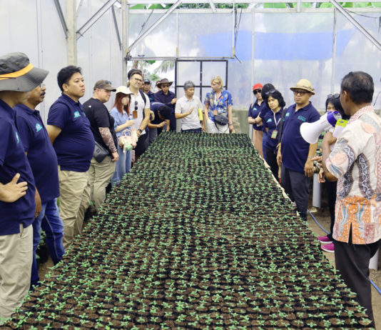Pembibitan Berbasis Teknologi EM di Tunas Inti Agri Makmur Tuai Perhatian Delegasi APNAN
