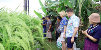 EM4 dan Padi Merah Organik Kelompok Tani Somya Pertiwi Jadi Inspirasi Delegasi APNAN 2026