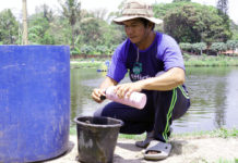 EM4 Jadi Solusi Andal Jaga Kualitas Air Kolam dan Tingkatkan Hasil Budidaya Ikan