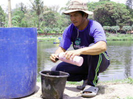 EM4 Jadi Solusi Andal Jaga Kualitas Air Kolam dan Tingkatkan Hasil Budidaya Ikan