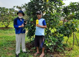 Ubah Limbah Kotoran Kambing Jadi Pupuk Organik Cair, Petani Garut Andalkan EM4 untuk Tingkatkan Produksi Alpukat