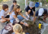 Siswa SMP Green School Belajar Teknologi EM4 di Pak Oles Green School