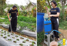 POC Berbasis EM4 Dukung Pengembangan Pertanian Organik Berkelanjutan