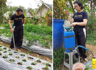 POC Berbasis EM4 Dukung Pengembangan Pertanian Organik Berkelanjutan